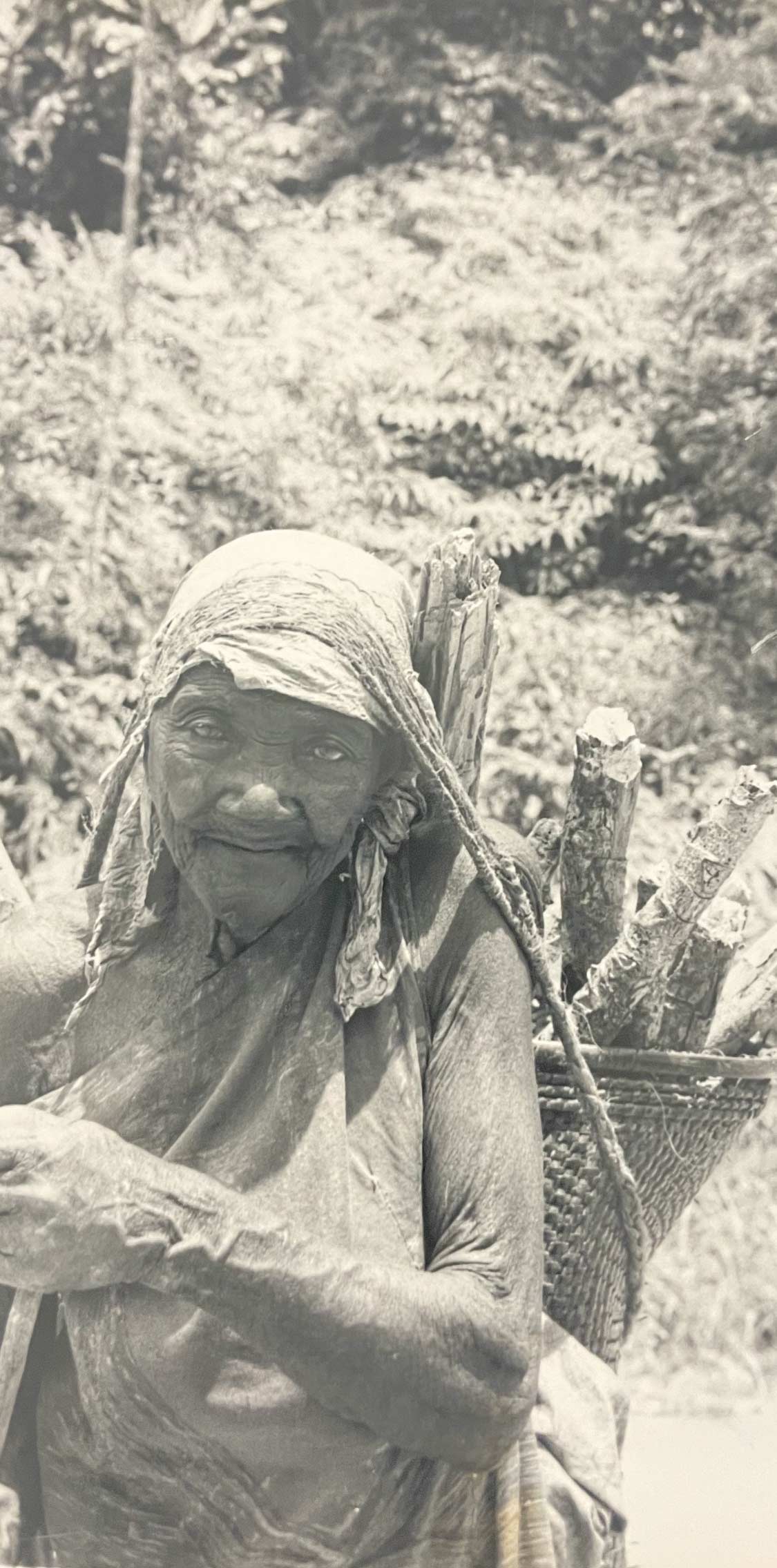 Coming home with firewood